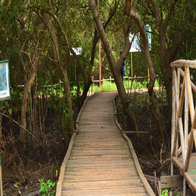 Coringa Wildlife Sanctuary Tours